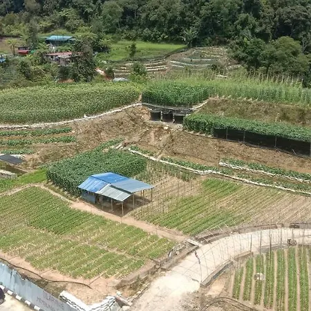 Fizan Homestay Tanah Rata Bagian luar foto